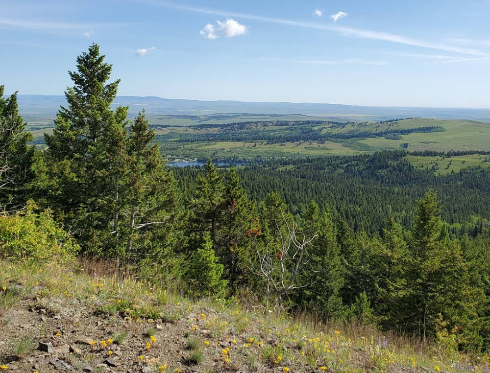 Beauvais Lake, Alberta